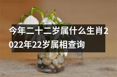 今年二十二岁属什么生肖2022年22岁属相查询