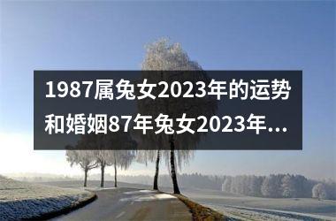 1987属兔女2023年的运势和婚姻87年兔女2023年感情运势如何