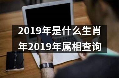 2019年是什么生肖年2019年属相查询
