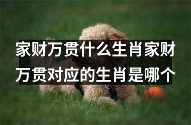 家财万贯什么生肖家财万贯对应的生肖是哪个