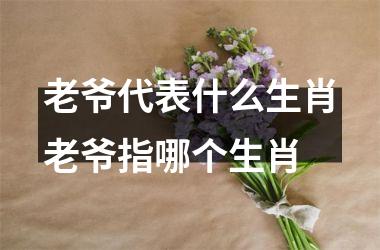 老爷代表什么生肖老爷指哪个生肖