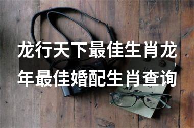 龙行天下最佳生肖龙年最佳婚配生肖查询