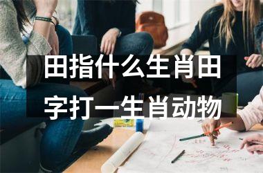 田指什么生肖田字打一生肖动物