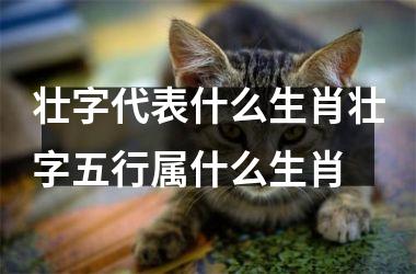 壮字代表什么生肖壮字五行属什么生肖