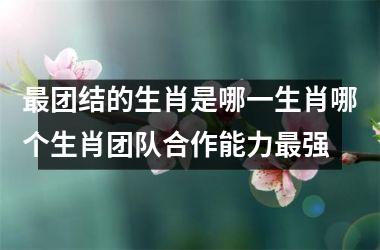 最团结的生肖是哪一生肖哪个生肖团队合作能力最强