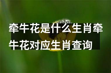 牵牛花是什么生肖牵牛花对应生肖查询