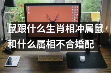 鼠跟什么生肖相冲属鼠和什么属相不合婚配