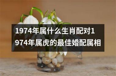 1974年属什么生肖配对1974年属虎的最佳婚配属相