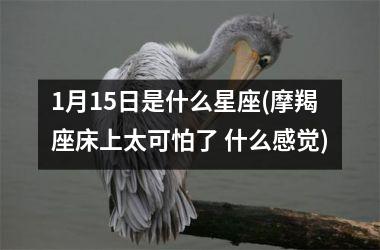 <h3>1月15日是什么星座(摩羯座床上太可怕了 什么感觉)
