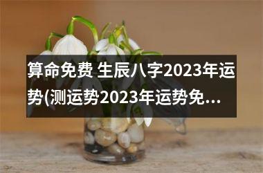 算命免费 生辰八字2023年运势(测运势2023年运势免费周易)