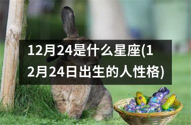 <h3>12月24是什么星座(12月24日出生的人性格)