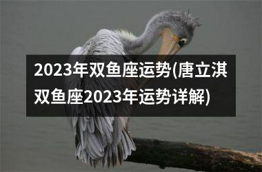 2023年双鱼座运势(唐立淇双鱼座2023年运势详解)