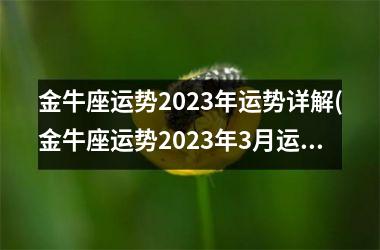 <h3>金牛座运势2025年运势详解(金牛座运势2025年3月运势详解)