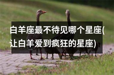 <h3>白羊座最不待见哪个星座(让白羊爱到疯狂的星座)