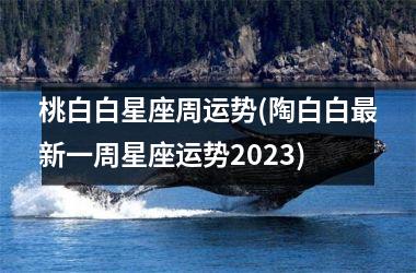 桃白白星座周运势(陶白白最新一周星座运势2023)