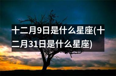 <h3>十二月9日是什么星座(十二月31日是什么星座)