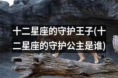 <h3>十二星座的守护王子(十二星座的守护公主是谁)