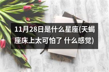 11月28日是什么星座(天蝎座床上太可怕了 什么感觉)