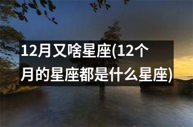 <h3>12月又啥星座(12个月的星座都是什么星座)