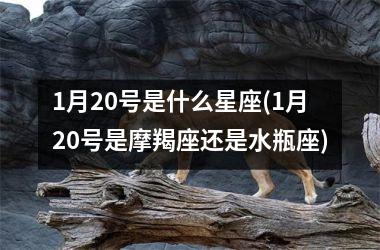 <h3>1月20号是什么星座(1月20号是摩羯座还是水瓶座)