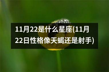 11月22是什么星座(11月22日性格像天蝎还是射手)