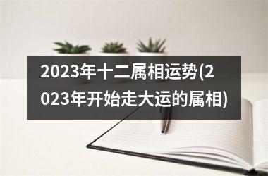 <h3>2025年十二属相运势(2025年开始走大运的属相)