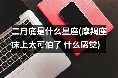 <h3>二月底是什么星座(摩羯座床上太可怕了 什么感觉)