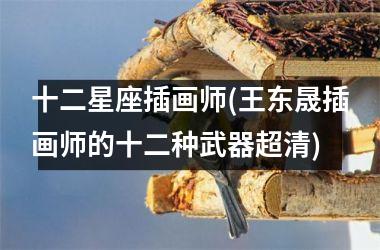 十二星座插画师(王东晟插画师的十二种武器超清)