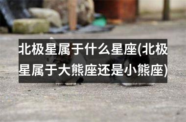 <h3>北极星属于什么星座(北极星属于大熊座还是小熊座)