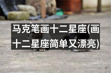 <h3>马克笔画十二星座(画十二星座简单又漂亮)