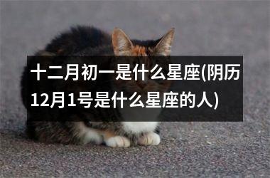 十二月初一是什么星座(阴历12月1号是什么星座的人)