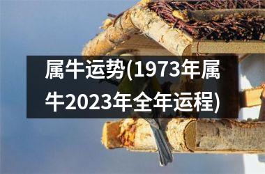 <h3>属牛运势(1973年属牛2025年全年运程)