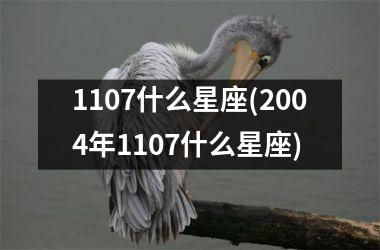 1107什么星座(2004年1107什么星座)