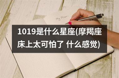 <h3>1019是什么星座(摩羯座床上太可怕了 什么感觉)