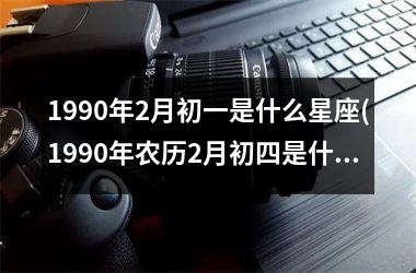 1990年2月初一是什么星座(1990年农历2月初四是什么星座)