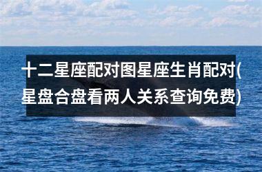 <h3>十二星座配对图星座生肖配对(星盘合盘看两人关系查询免费)