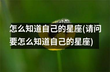 <h3>怎么知道自己的星座(请问要怎么知道自己的星座)
