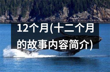 <h3>12个月(十二个月的故事内容简介)