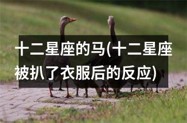 十二星座的马(十二星座被扒了衣服后的反应)