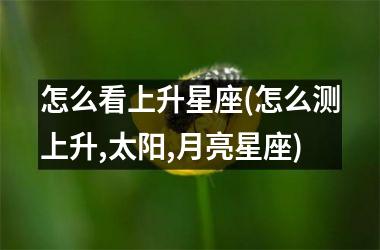 <h3>怎么看上升星座(怎么测上升,太阳,月亮星座)