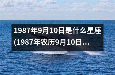 <h3>1987年9月10日是什么星座(1987年农历9月10日是什么星座)