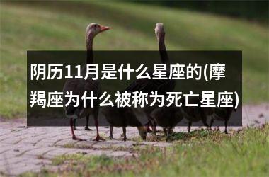 <h3>阴历11月是什么星座的(摩羯座为什么被称为死亡星座)