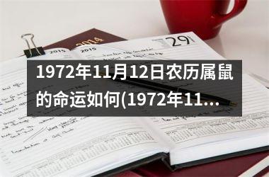 1972年11月12日农历属鼠的命运如何(1972年11月11日农历是什么命)