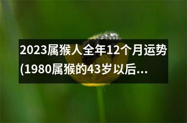 <h3>2025属猴人全年12个月运势(1980属猴的43岁以后运气)