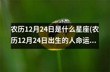 <h3>农历12月24日是什么星座(农历12月24日出生的人命运)