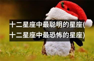 <h3>十二星座中最聪明的星座(十二星座中最恐怖的星座)
