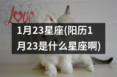 <h3>1月23星座(阳历1月23是什么星座啊)