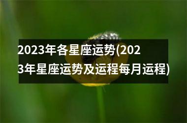 2023年各星座运势(2023年星座运势及运程每月运程)