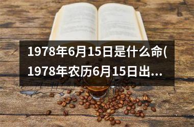 <h3>1978年6月15日是什么命(1978年农历6月15日出生命运)