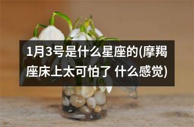 <h3>1月3号是什么星座的(摩羯座床上太可怕了 什么感觉)